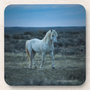 Posavasos Wyoming, los Estados Unidos de América