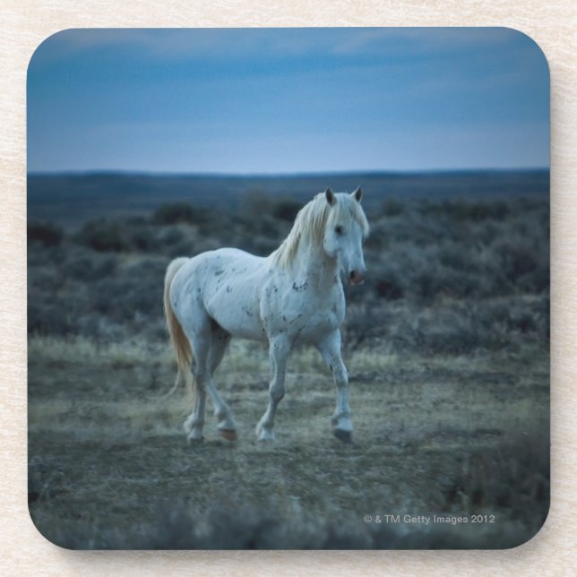Posavasos Wyoming, los Estados Unidos de América (Frente)
