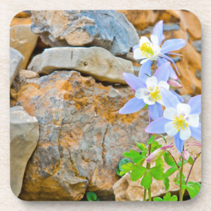 Posavasos Wyoming, Parque Nacional Grand Teton 1