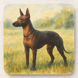 Posavasos Xoloitzcuintli