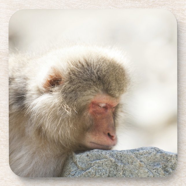 Posavasos Yamanouchi, Chubu, prefectura de Nagano, Japón (Frente)