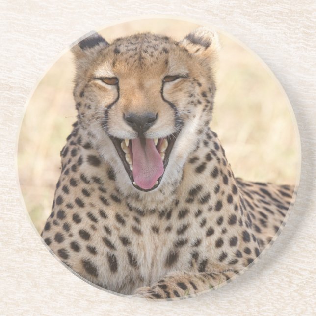 Posavasos Yawning Cheetah (Frente)