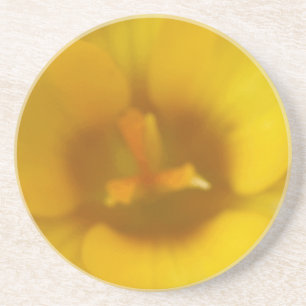 Posavasos Yellow Crocus Flower Coasters