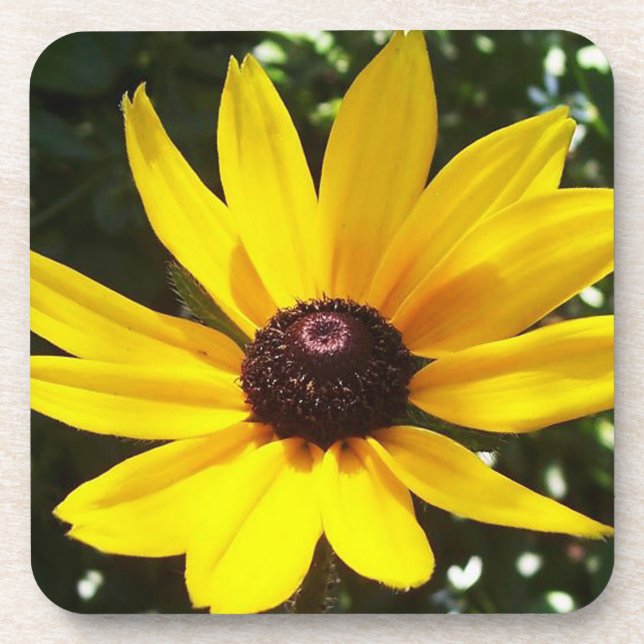 Posavasos Yellow Daisy (Frente)