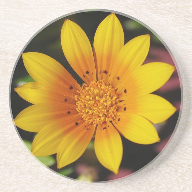 Posavasos Yellow Daisy Coaster (Frente)