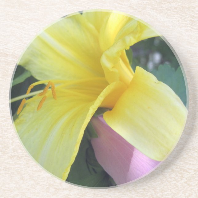 Posavasos Yellow Lily (Frente)