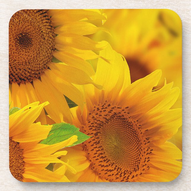 Posavasos Yellow Sunflowers Cork Coaster (Frente)