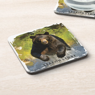 Posavasos Yellowstone Bear