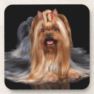 Posavasos Yorkshire Terrier en negro