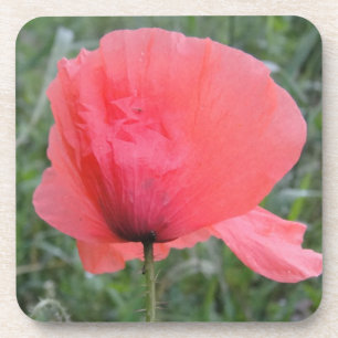 Posavasos Zarte memorizó a Mohnblume