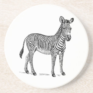 Posavasos Zebra