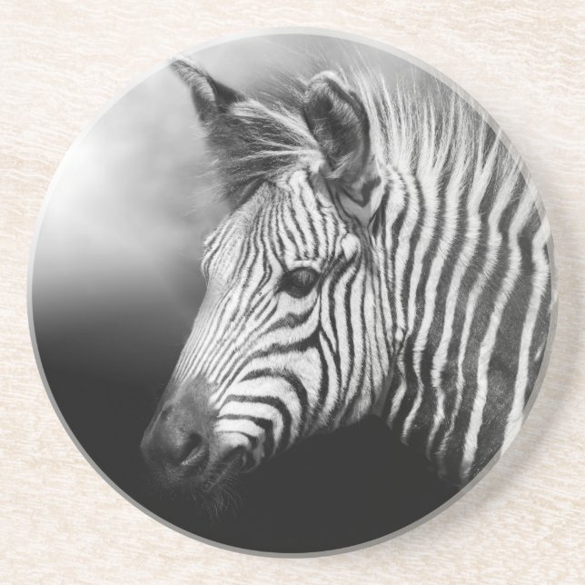 Posavasos Zebra Foal (Frente)