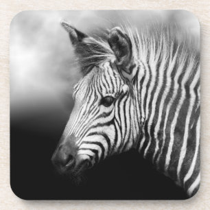 Posavasos Zebra Foal