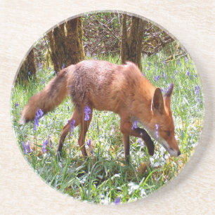 Posavasos Zorro Rojo Campanilla Azul Flores Bosque Naturalez