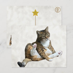 Pose del gato tonto - La postal de Annie