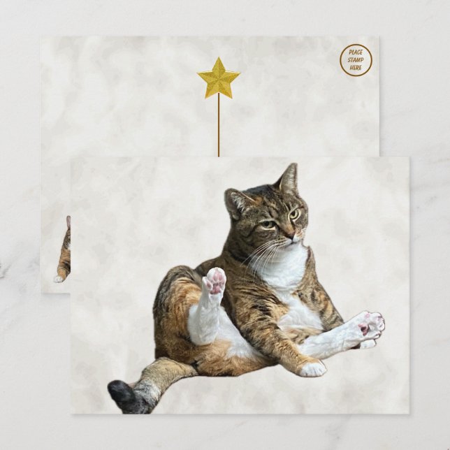 Pose del gato tonto - La postal de Annie (Anverso / Reverso)
