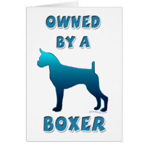 Poseído por un boxeador