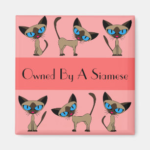 Poseído por un imán siamés