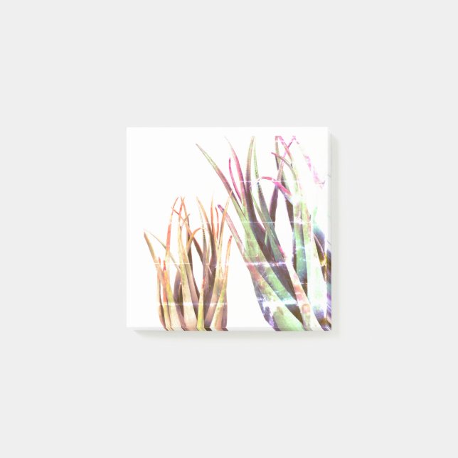 Post-it® ALoe Vera, notas de arte (Anverso)
