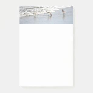 Post-it® Aves de Playa en las Notas Adhesivas de Olas