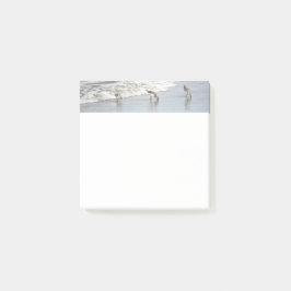 Post-it® Aves de playa en Surf 3x3 Notas