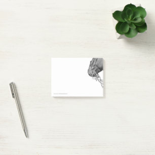 Post-it® Colt en el Two Rein - Notas adhesivas de 3" x 4"