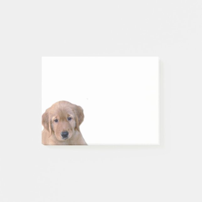 Post-it® Cuaderno de notas del post-it del golden retriever (Anverso)