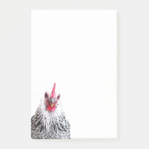 Post-it® Cute Bantam Cochin Hen Photo 4x6 Notas