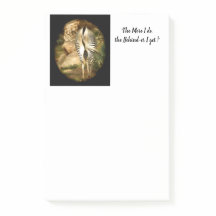 "Detrás-er consigo!" Notas de post-it, 4 x 6