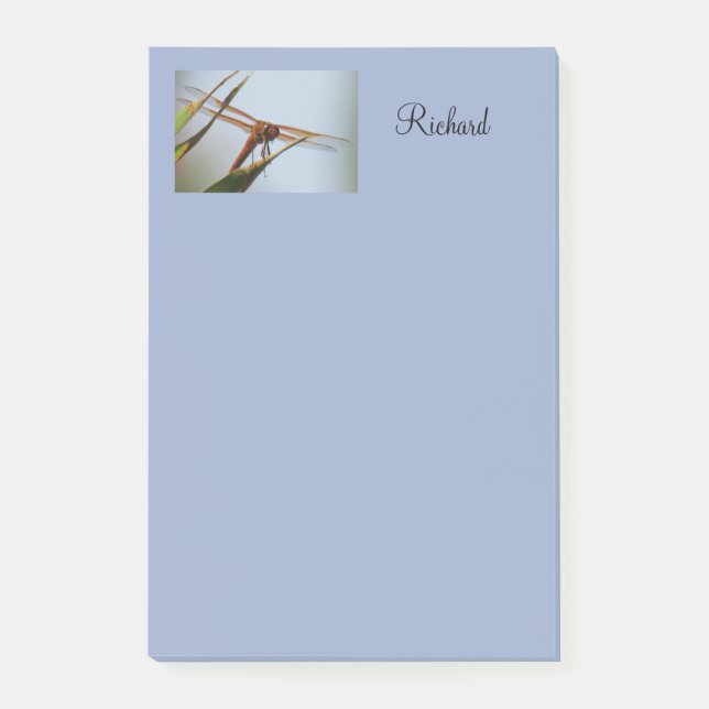 Post-it® Dragonfly Blue Personalizado Post Notas 4x6 (Anverso)