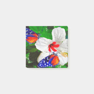 Post-it® Flor de Hibiscus con notas Post-It de Tiger Longwi