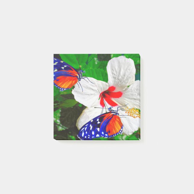 Post-it® Flor de Hibiscus con notas Post-It de Tiger Longwi (Anverso)
