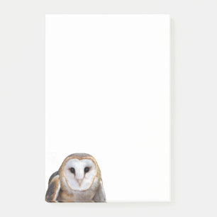 Post-it® Foto de búho de Barn 4x6 Notas Stationery