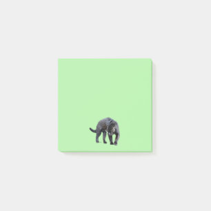 Post-it® Jaguar Diablo verde 3x3 notas
