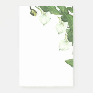 Post-it® La cala blanca del vintage florece notas de