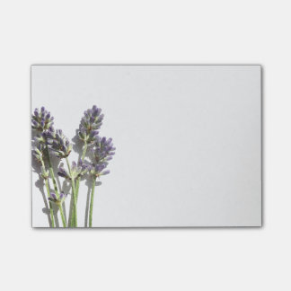 Post-it® La lavanda florece notas del Poste-it®