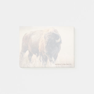 Post-it® Mañana Helada - Notas Adhesivas de 3" x 4"