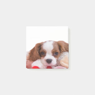 Post-it® Notas adhesivas de cachorro Cavalier King Charles 