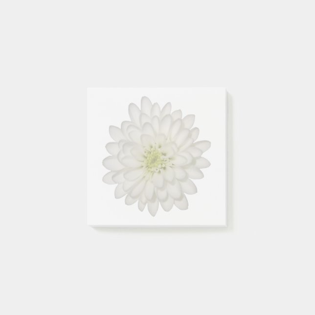 Post-it® Notas Adhesivas de Crisantemo Blanco (Anverso)