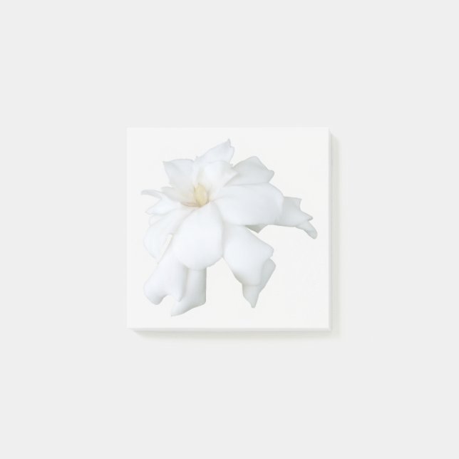 Post-it® Notas adhesivas de Gardenia Blanca (Anverso)