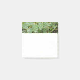 Post-it® Notas Adhesivas de Gotitas de Lluvia en Hojas Verd