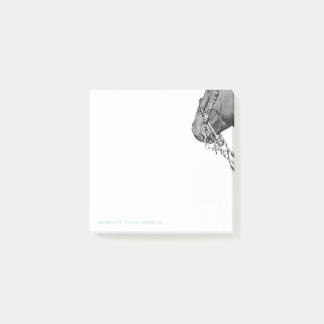 Post-it® Notas Colt en Two Rein - 3" x 3" (Anverso)