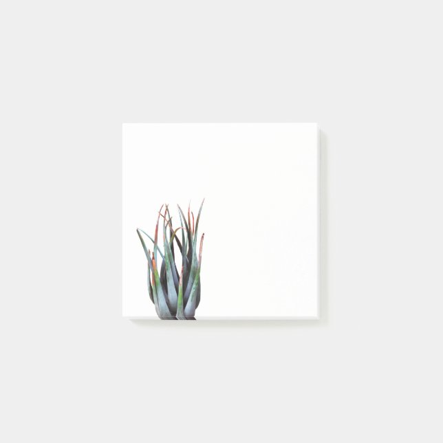 Post-it® Notas de arte fotográfico de la planta ALoe (Anverso)