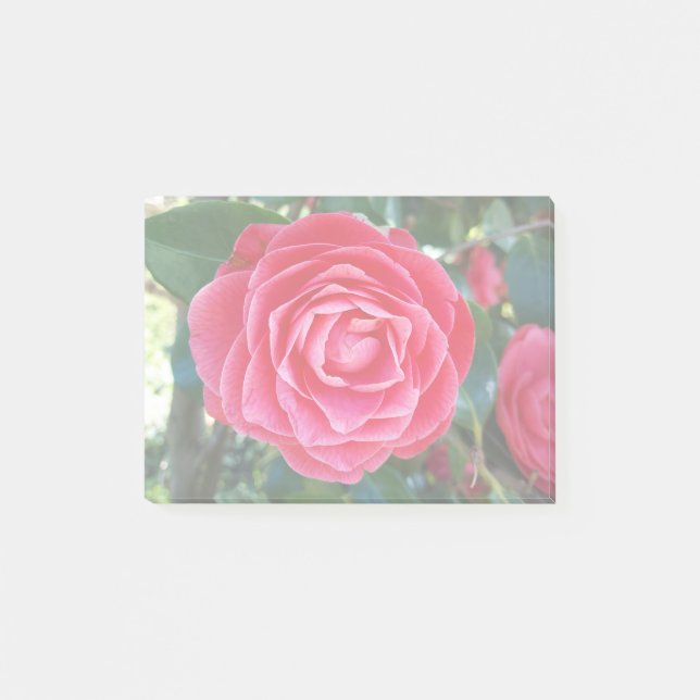 Post-it® notas de camelia (Anverso)