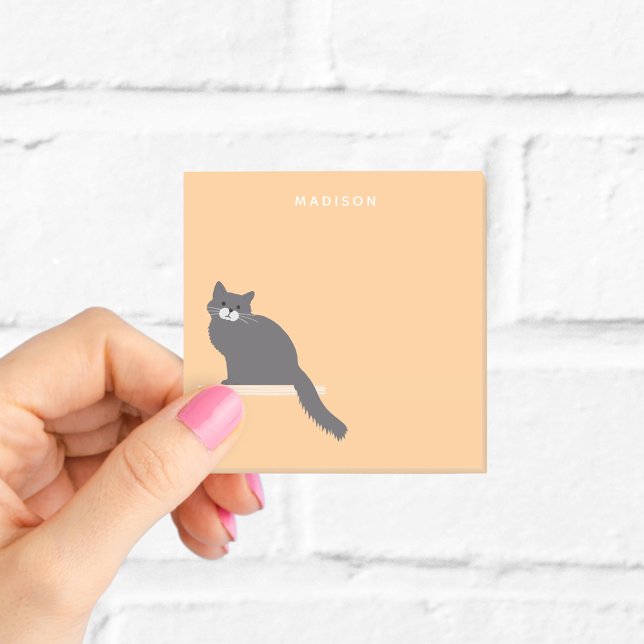 Post-it® Notas de gato gris esponjoso lindo con nombre (Subido por el creador)