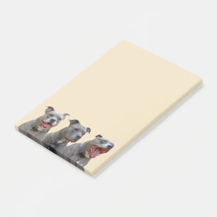 Post-it® Notas de las personalidades de Pitbull