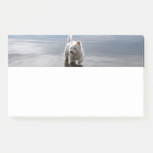 Post-it® Notas de Papelería de Reflexión de Westie de Playa