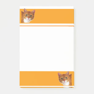 Post-it® Notas de post-it de los amantes del gato