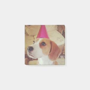 Post-it® Notas de post-it del beagle del cumpleaños