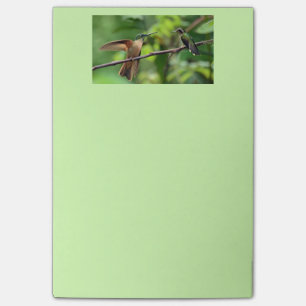 Post-it® Notas de post-it del colibrí